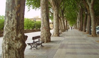 Regidoria Parcs i Jardins Xativa